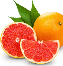 Stamox Citromed Avi 100ml - Animals & Pet Supplies > Pet Supplies > Bird Supplies > Bird Food Ergänzungsfuttermittel