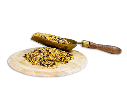 Scharnebecker Mühle Goldpferd Powermüsli P13 Haferfreies Pferdefutter 25kg - Sporting Goods > Outdoor Recreation > Equestrian > Horse Care > Horse Feed > Horse Feed Supplements Einzelfuttermittel