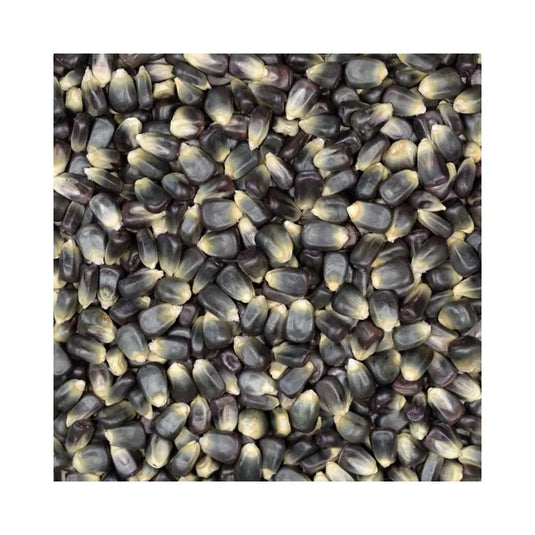 Eurital Eurital Black Corn 2.5 kg - Animals & Pet Supplies > Pet Supplies > Bird Supplies > Bird Food