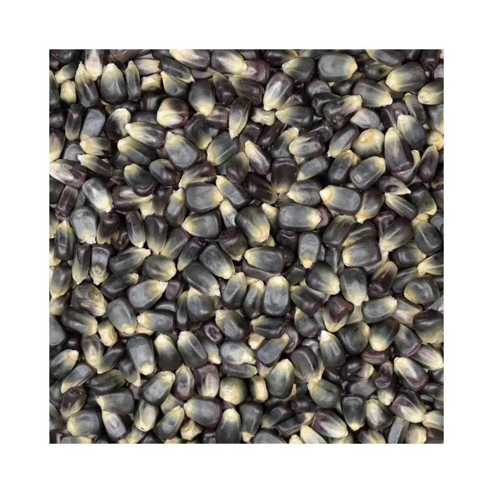 Eurital Eurital Schwarzer Mais 2,5 kg - Animals & Pet Supplies > Pet Supplies > Bird Supplies > Bird Food