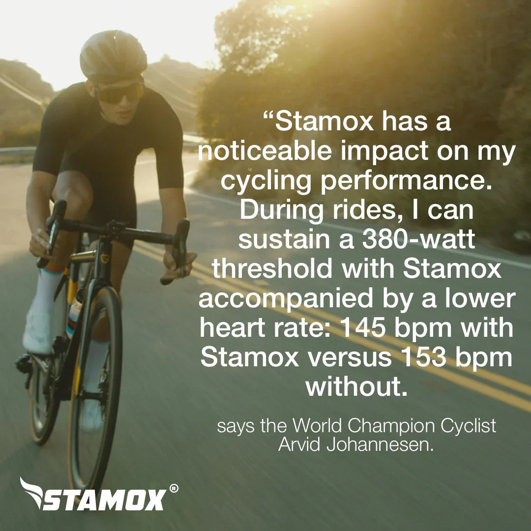 Stamox 200 gram 2026 tub *Human*